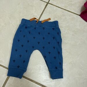 1133. Starting Out Catus Sweatpants Size 3 months